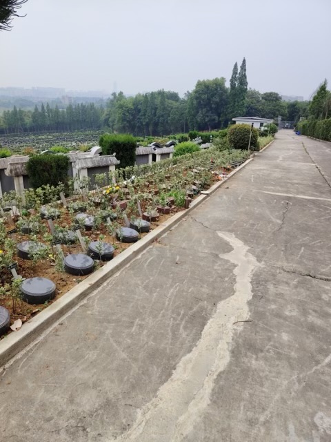 生态葬区实景