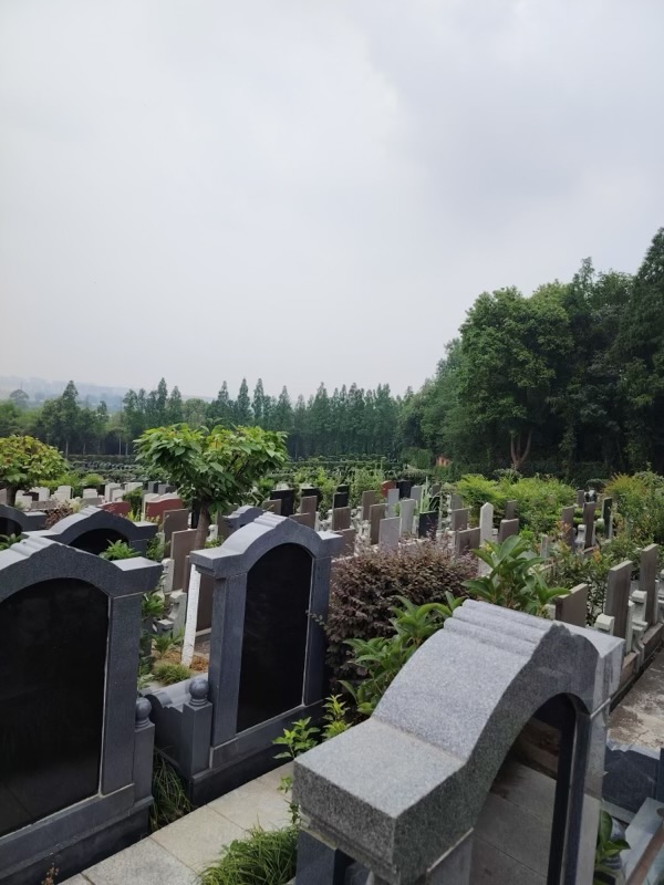 传统墓区园景